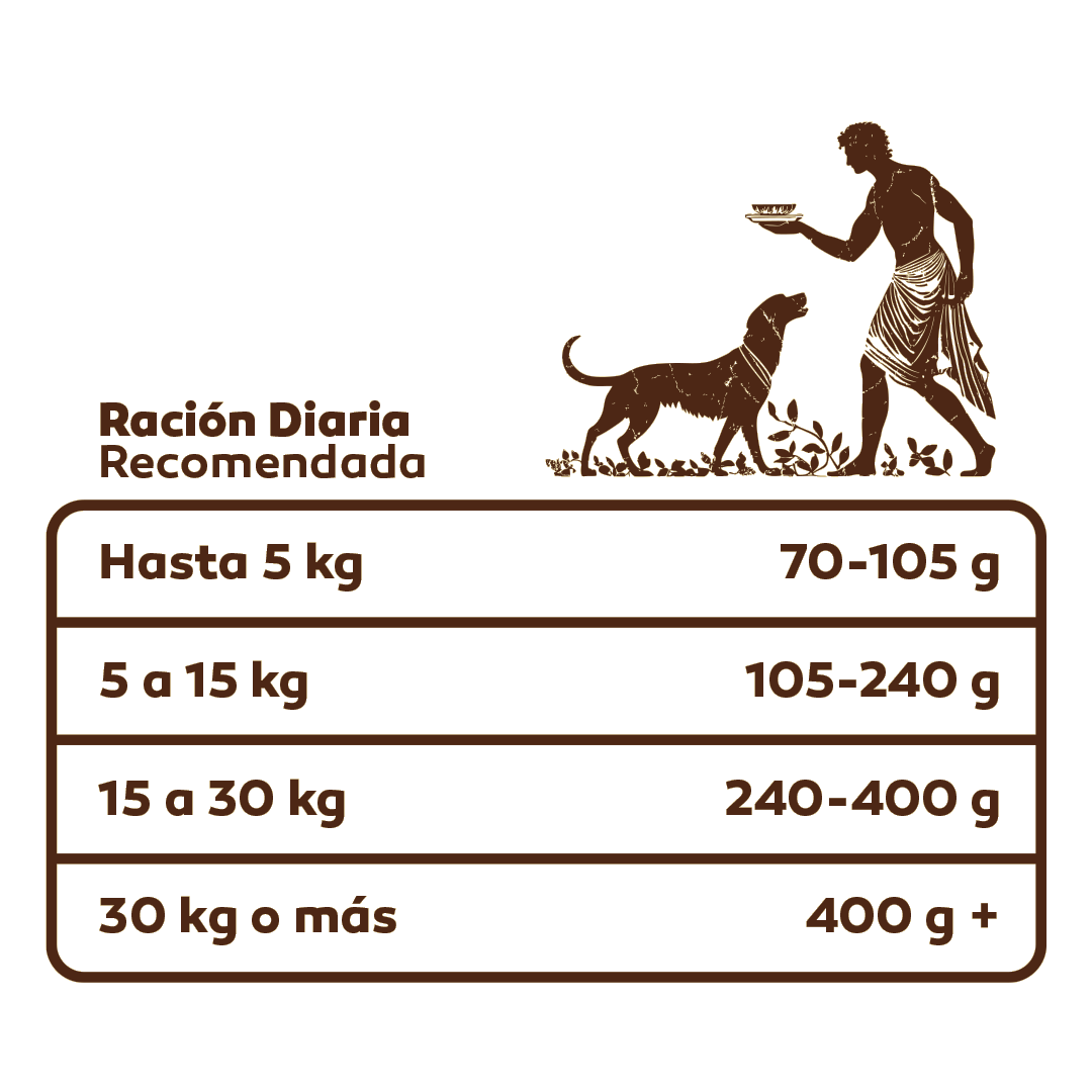 Arcadia Adulto - Arcadia