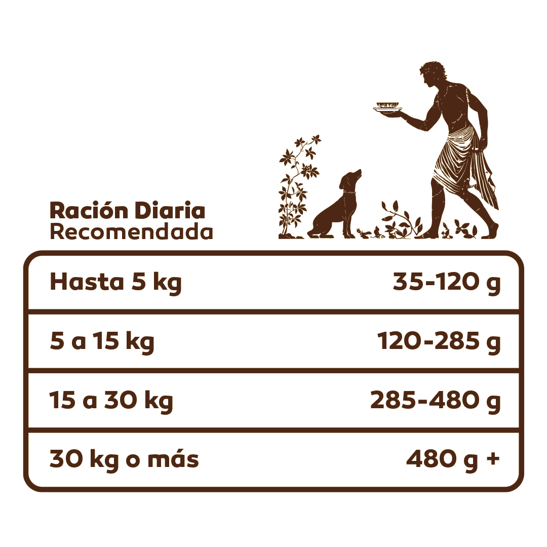 Arcadia Cachorro - Arcadia